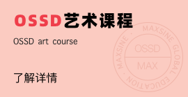 OSSD藝術課程